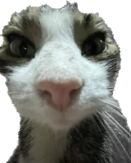 Sticker маркетолог - 10