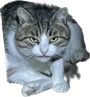 Sticker маркетолог - 6