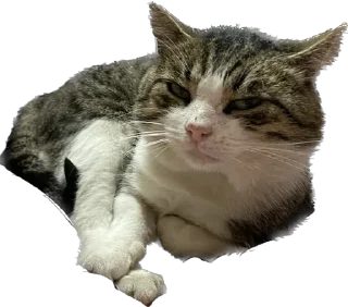 Sticker маркетолог - 5