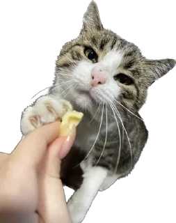 Sticker маркетолог - 8