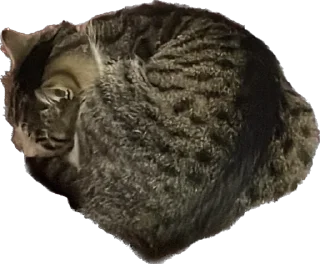 Sticker маркетолог - 0