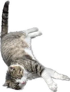 Sticker маркетолог - 7