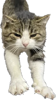 Sticker маркетолог - 9