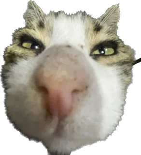 Sticker маркетолог - 2