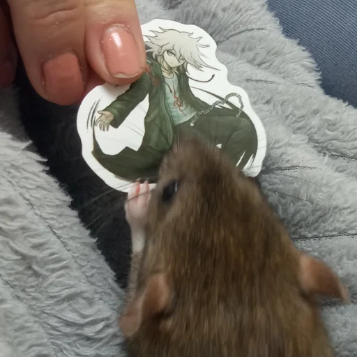 Стикер marik - 10