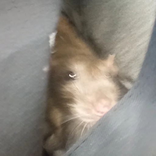 Стикер marik - 7