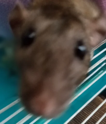 Стикер marik - 4