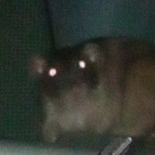 Стикер marik - 2