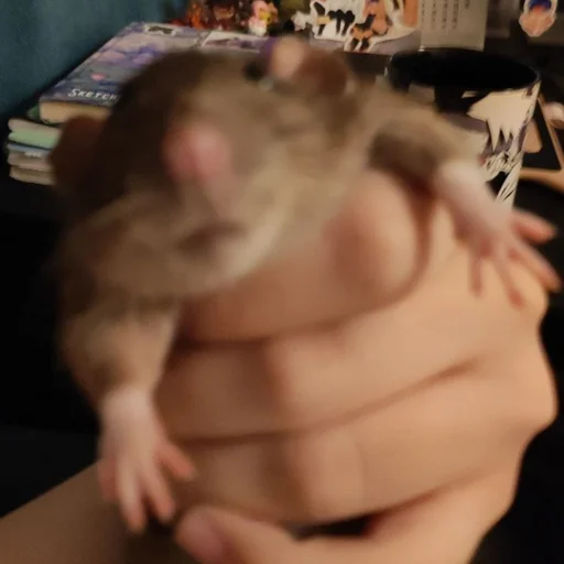 Стикер marik - 1