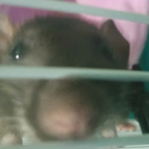 Стикер marik - 0