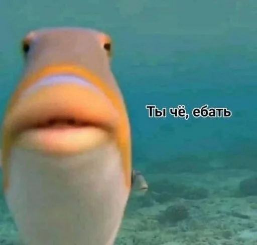 Sticker marinasticks1 - 1