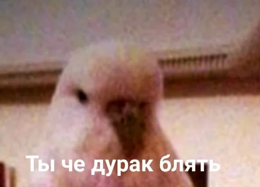 Sticker marinasticks1 - 1