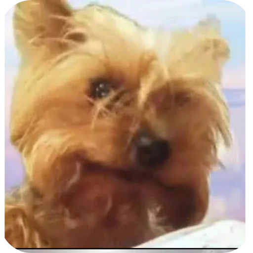 Стикер mariya5181 - 1