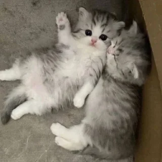 Sticker мимиямуя - 3