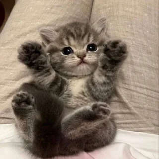 Sticker мимиямуя - 9