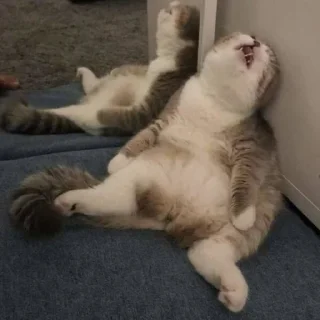 Sticker мимиямуя - 0