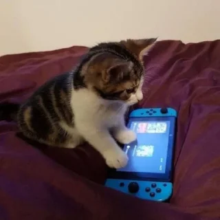 Sticker мимиямуя - 10