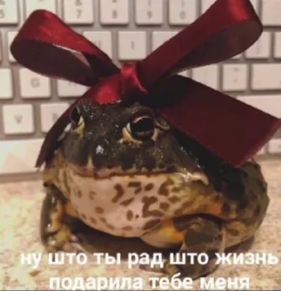 Sticker Maryammemes - 0