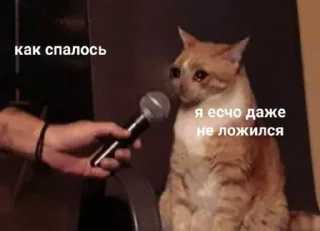 Sticker Maryammemes - 5