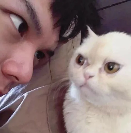 Sticker maryammemes - 1