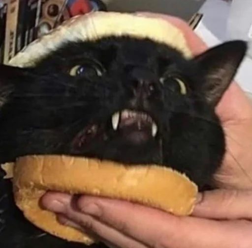 Sticker maryammemes - 1