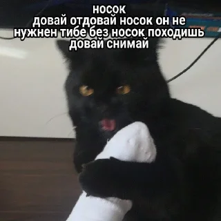 Sticker Maryammemes - 8