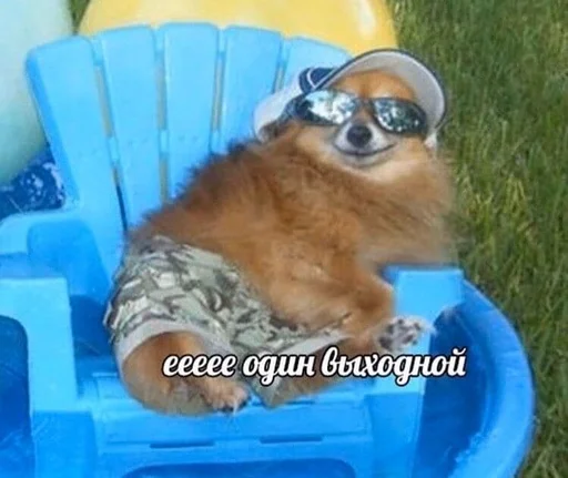 Sticker мои любимые стикеры - 8