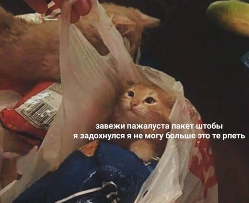 Sticker мои любимые стикеры - 1