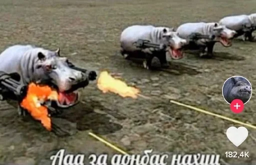 машонка :: @fStikBot - 