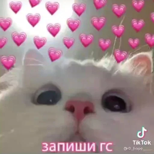 пикчи машика<3 :: @fStikBot - 