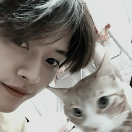 Sticker ˖ ᝬ : 🥓MINHO،̲.‹𝟥 @vlixstickers - 8