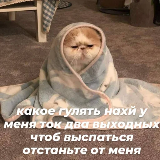 Sticker massivskiysleng - 1