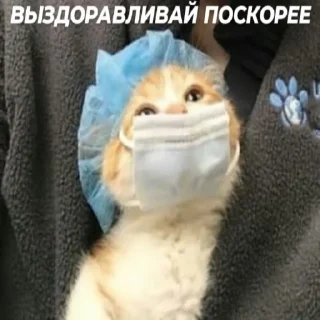 Sticker массивский сленг - 3