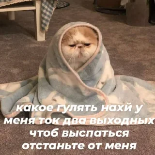 Sticker массивский сленг - 7