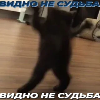 Sticker массивский сленг - 6