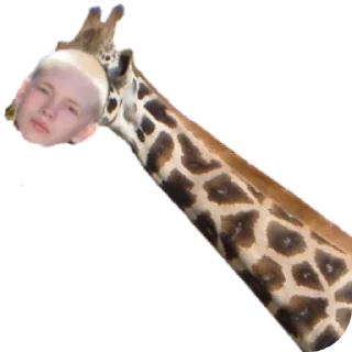 Sticker матаейчик - 3