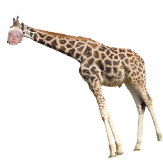 Sticker матаейчик - 5