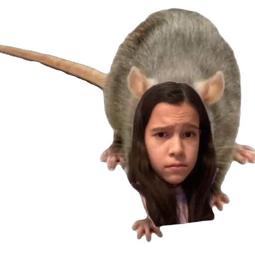 Sticker matasha7 - 1