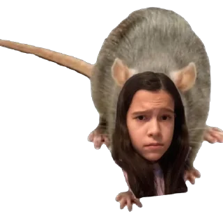 Стикер fizra_girls - 2