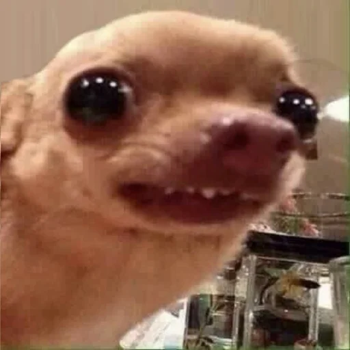 Стикер matatatas - 1