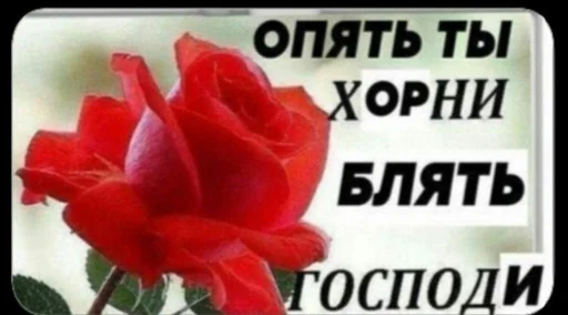 Стикер matatatas - 1