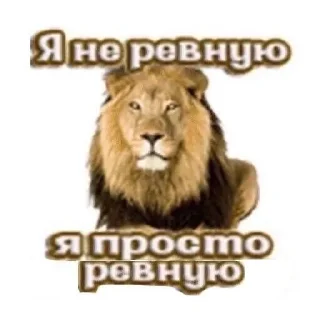 Sticker ориентация - матас - 5