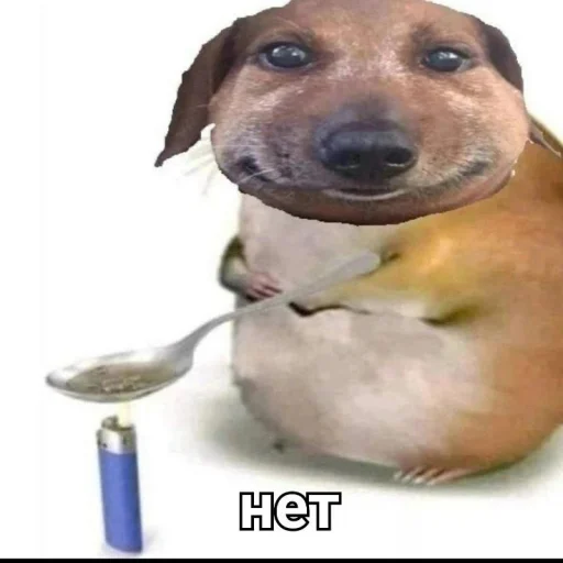 Sticker matebalzhoska - 1