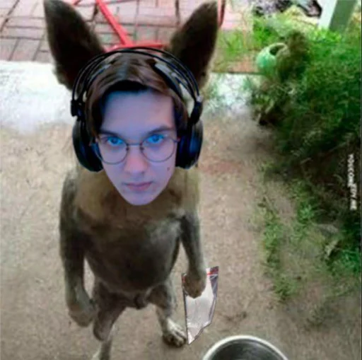 Стикер matebalzhoska - 1