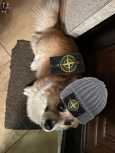 Sticker matebalzhoska - 1