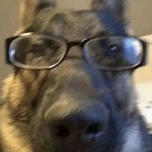 Sticker matebalzhoska - 1