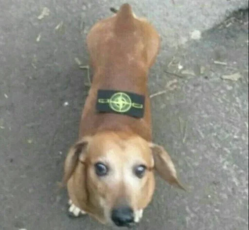 Sticker matebalzhoska - 1