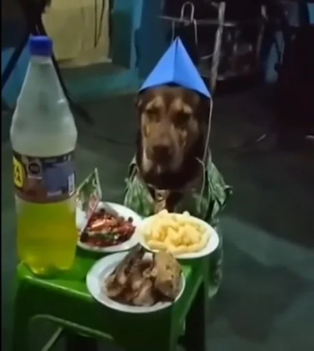 Sticker matebalzhoska - 1