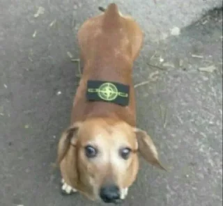 Стикер Матье балл - 8