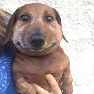 Стикер Матье балл - 7